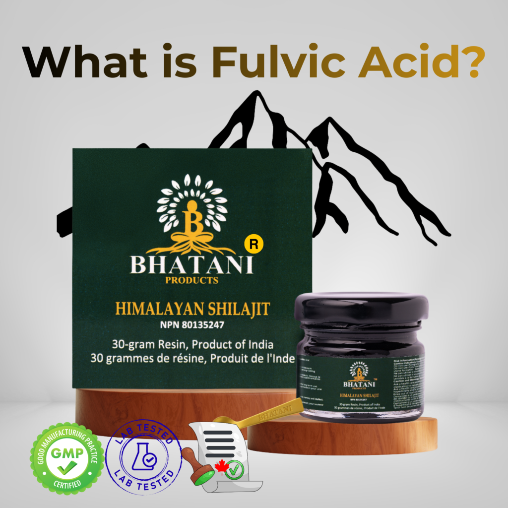 What Is Fulvic Acid for Humans & Why It’s a Game Changer and Why Bhatani Shilajit Reigns Supreme?