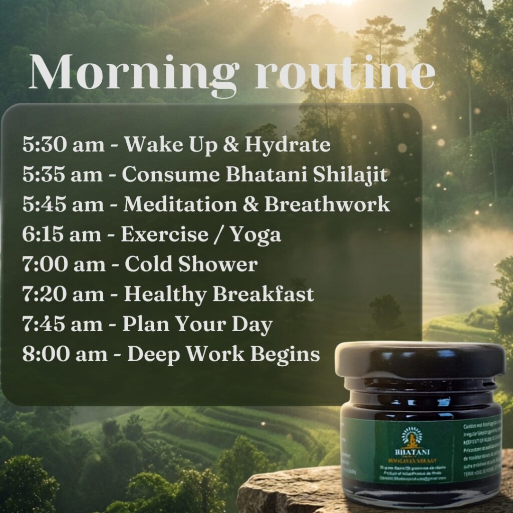 Shilajit Morning Routine for consistency and daily wellness habits in 2026