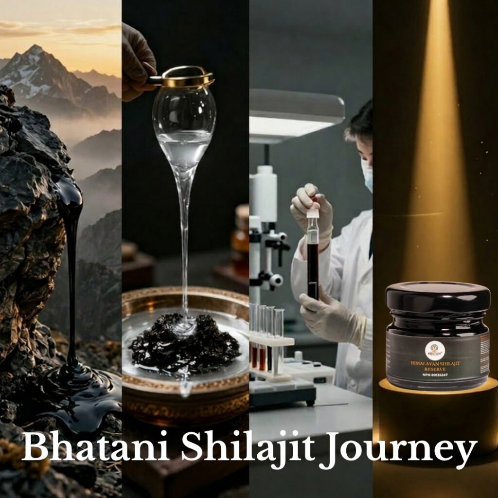 Shilajit manufacturing process showing Himalayan harvesting, purification, filtration, and laboratory testing before packaging