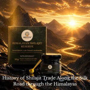 How Shilajit Traveled the Silk Road to Modern Wellness