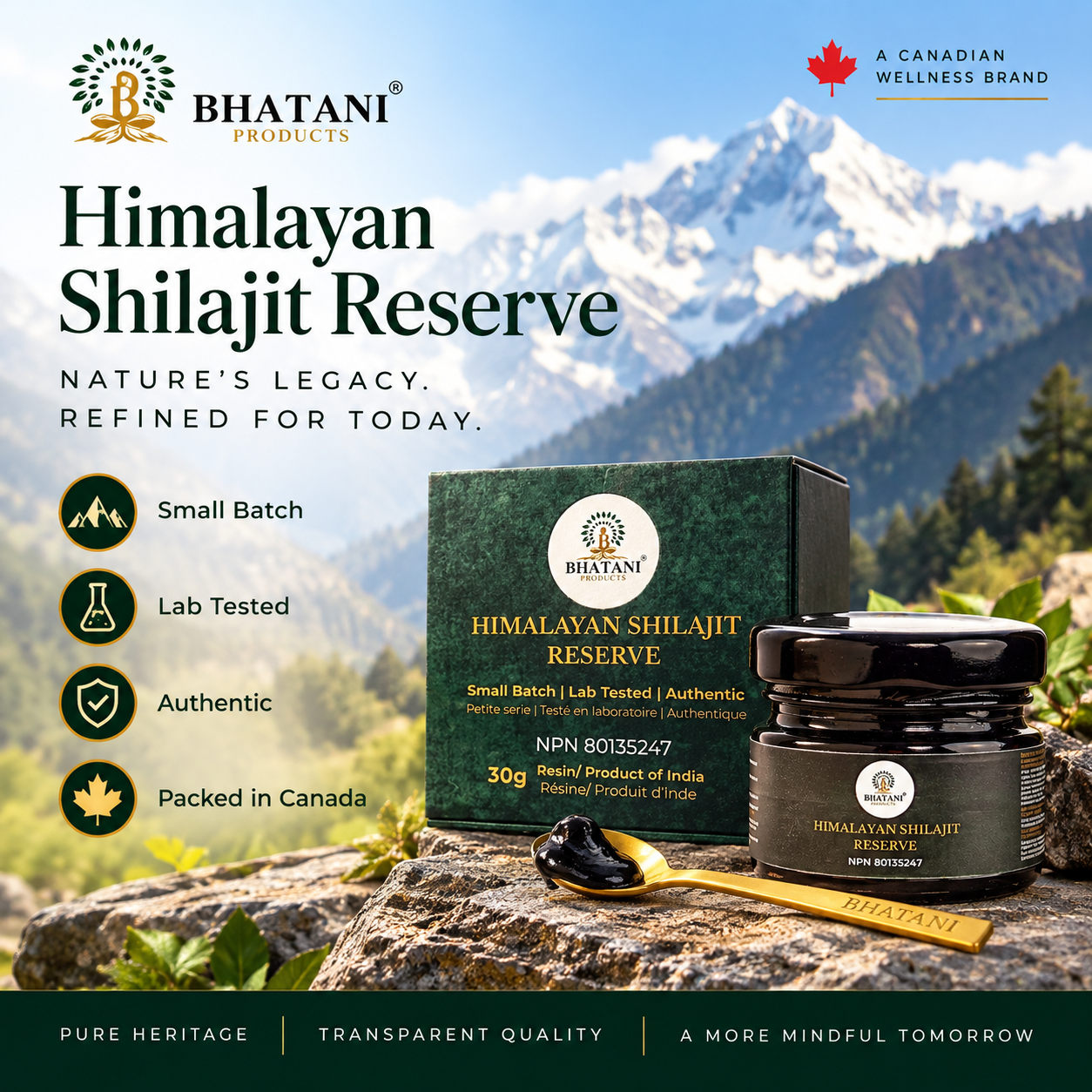 Himlayan mountains, Bhatani Shilajit